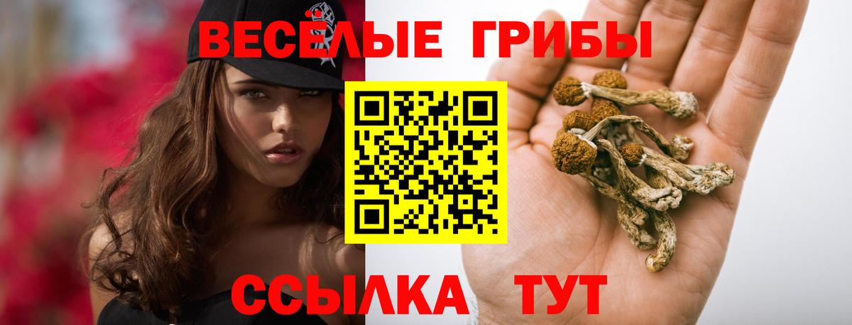 купить наркотики сайты  Галлюциногенные грибы Magic Shrooms  Вход с VPN  Приморско-Ахтарск  Псилоцибиновые грибы мухоморы 